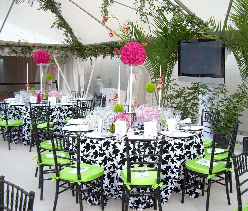 social events and party equipmant rental